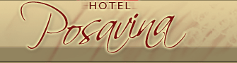 Grand Hotel 'Posavina', Brcko. Home/Naslovna